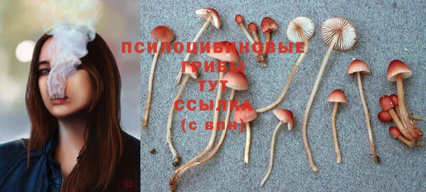 скорость Аркадак