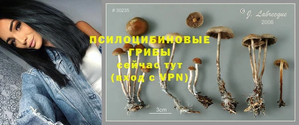 mdpv Арсеньев